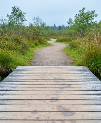 Joffre Street Trailhead: Your Gateway to Cobourg’s Nature Trails